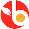 bravo bravo